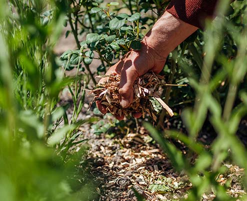 Mulching