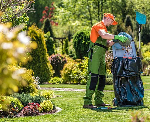 Seasonal clean-ups